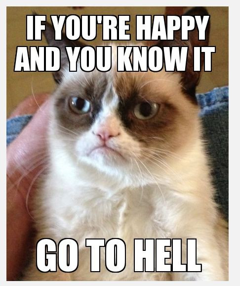 Funny Grumpy Cat Quotes
 Post college pre something