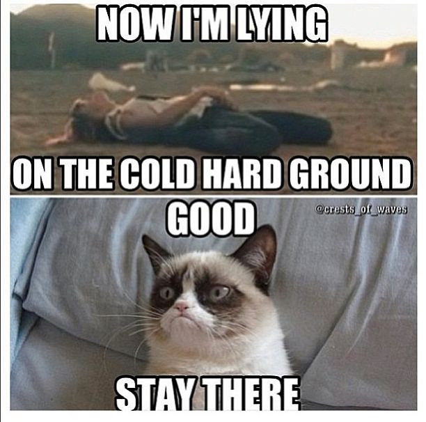 Funny Grumpy Cat Quotes
 30 Most Funny Grumpy Cat And Memes