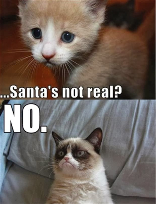 Funny Grumpy Cat Quotes
 Christmas Grumpy Cat Quotes QuotesGram