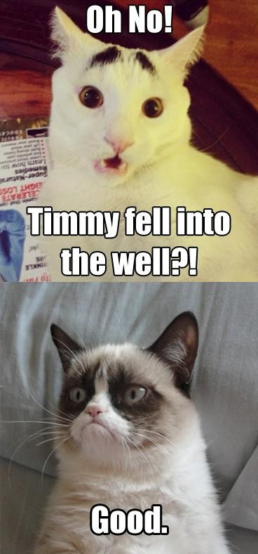 Funny Grumpy Cat Quotes
 Funny Grumpy Cat Quotes Worth Sharing