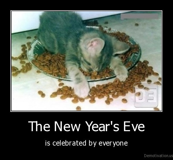 Funny New Years Eve Quotes
 DAVID DUST December 2011