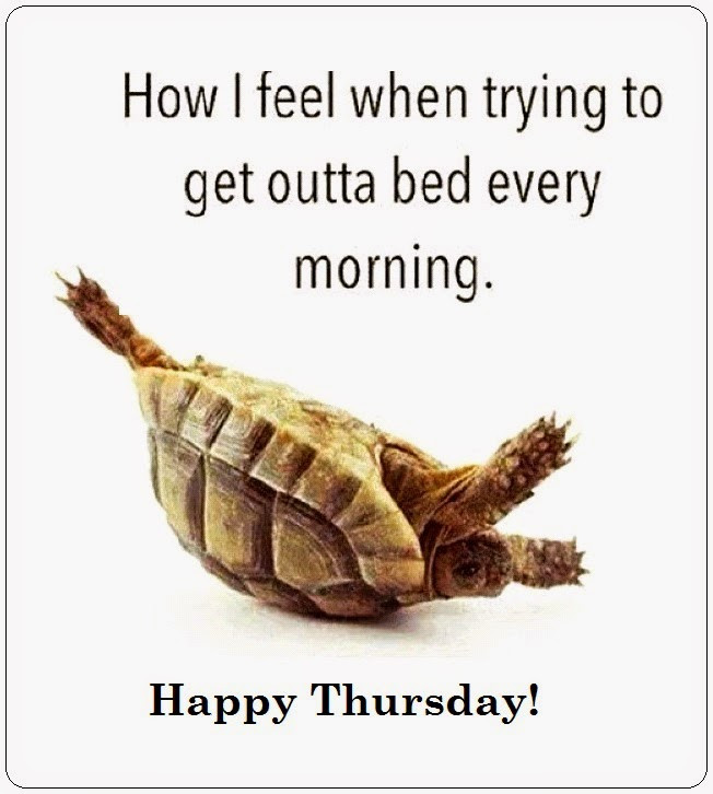 Funny Quotes About Thursday
 Happy Thursday Quotes with s
