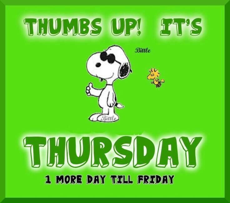 Funny Quotes About Thursday
 Pin on Daily Blessings and Greetings
