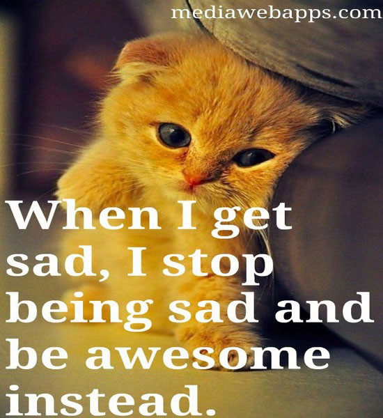 Funny Sad Quotes
 Funny Quotes About Being Sad QuotesGram