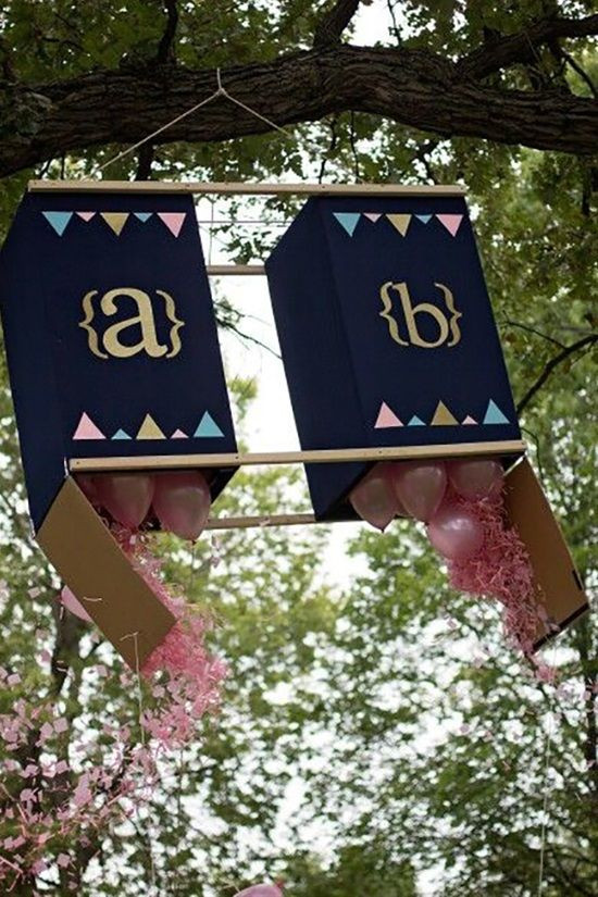 Gender Reveal Party Ideas Twins
 15 Creative Ideas For Gender Reveal graphy