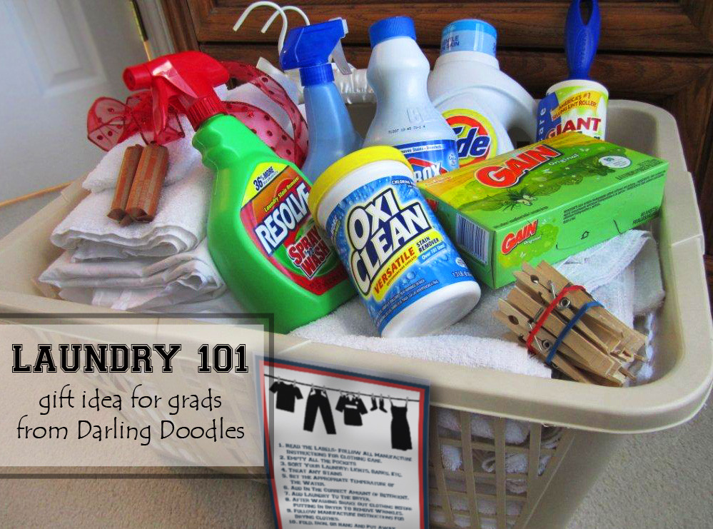 Gift Baskets For College Students Ideas
 Laundry 101 Darling Doodles