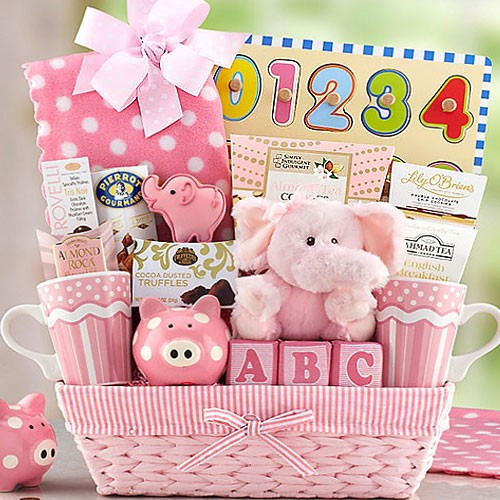Gift Baskets For New Baby Girl
 Unique New Baby Girl Gift Baskets Operation18 Truckers