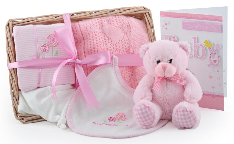 Gift Baskets For New Baby Girl
 Bear and Bundle Baby Girl Gift Basket