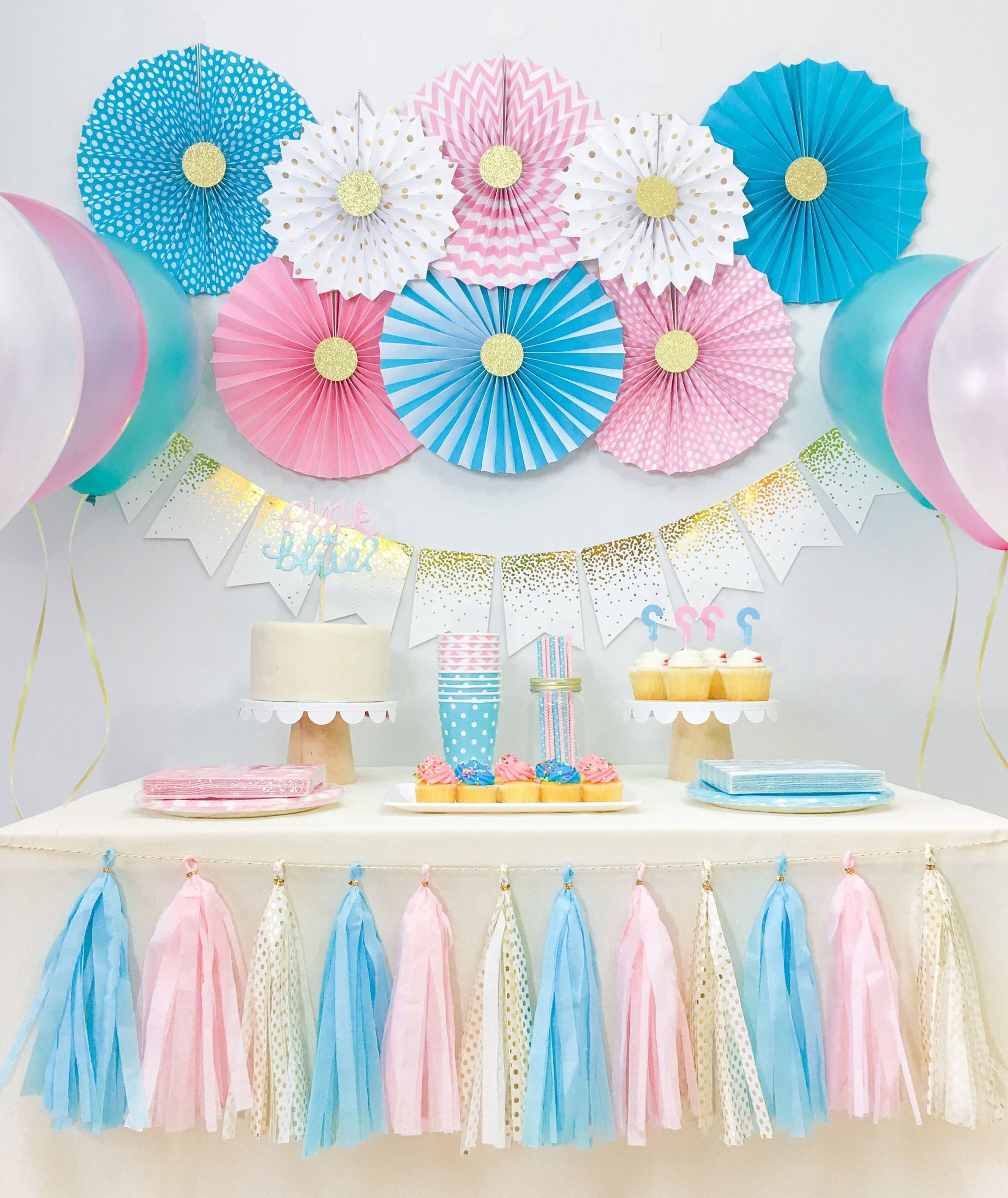 Girl Baby Shower Decor
 Gender Reveal Baby Shower Decorations Boy and Girl Twins