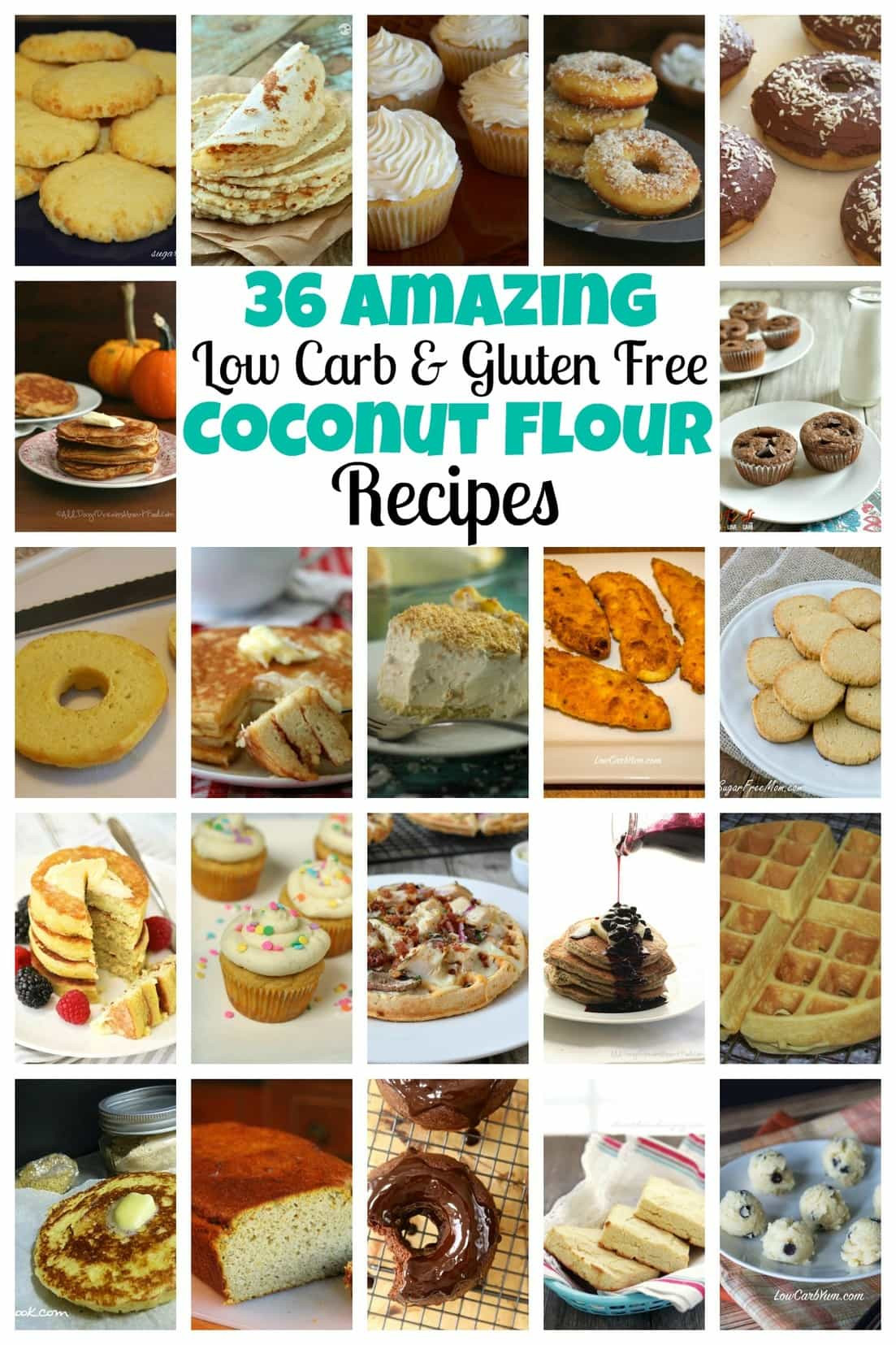 Gluten Free Low Carb Recipes
 Coconut Flour Benefits & Recipes