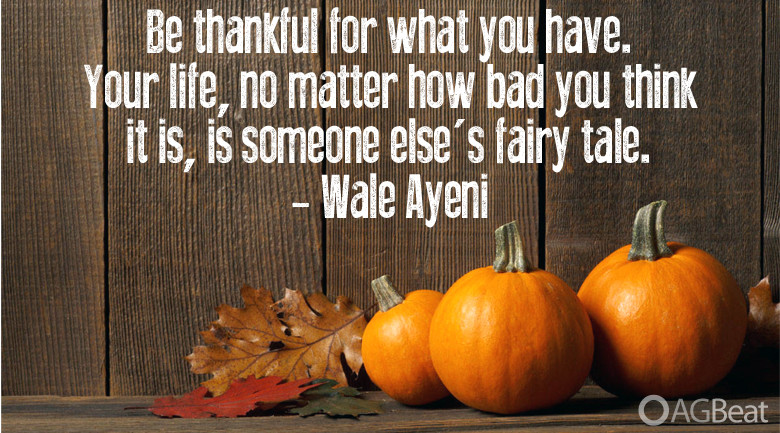 Grateful Thanksgiving Quotes
 10 Thanksgiving quotes as pictures to share on your social