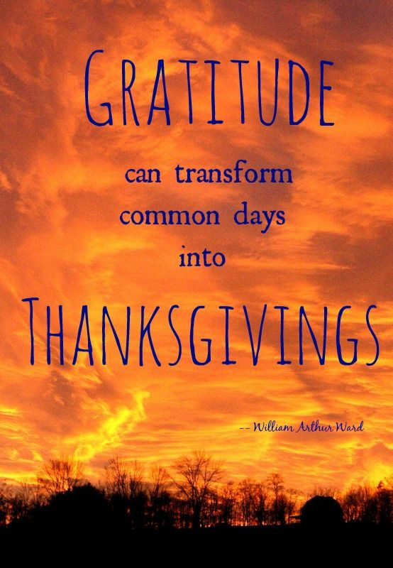 Grateful Thanksgiving Quotes
 thanksgiving