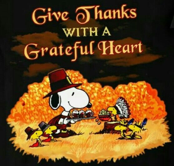 Grateful Thanksgiving Quotes
 Grateful Heart Thanksgiving Quote s and