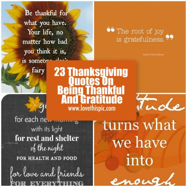 Grateful Thanksgiving Quotes
 10 best Thanksgiving thankful quotes images on Pinterest