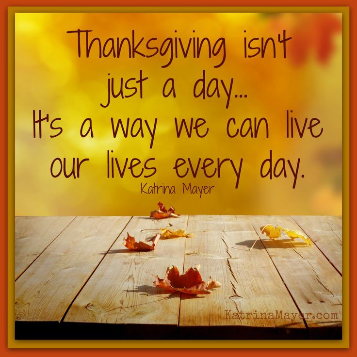 Grateful Thanksgiving Quotes
 100 Best Thanks Giving Quotes – The WoW Style