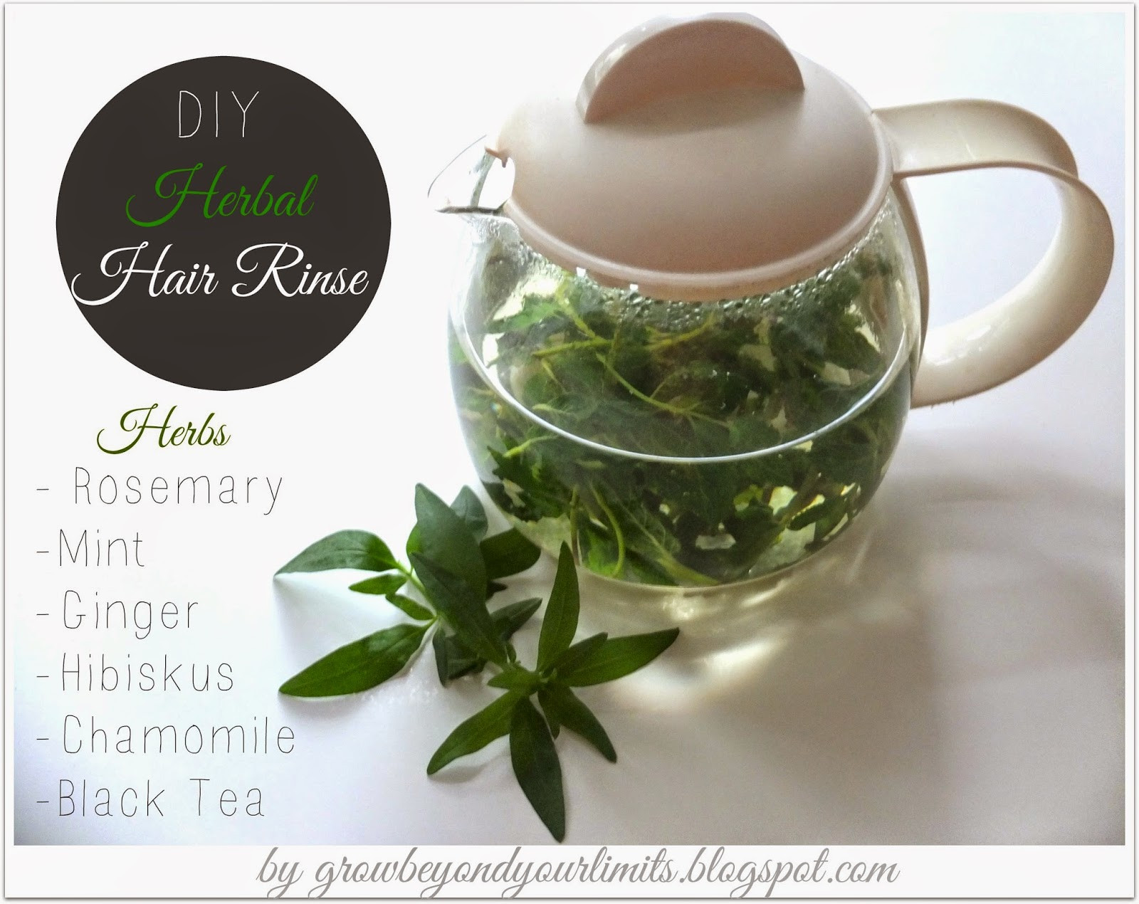 Hair Rinse DIY
 How to grow healthy long and beautiful hair Holistic and
