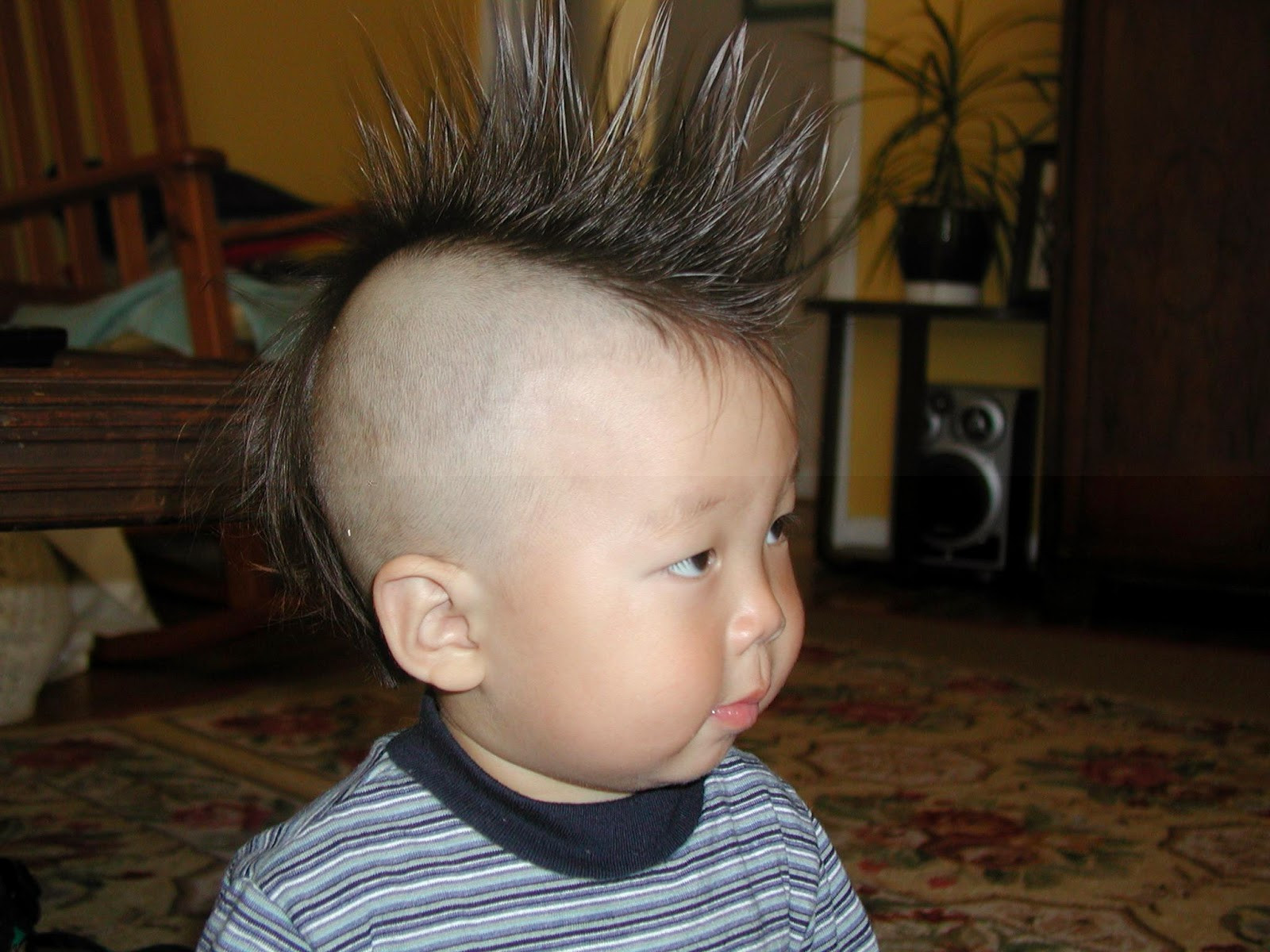 Hairstyle For Kids Boys
 Kids Hairstyle Amazing & Trendy Hairstyles for Boys