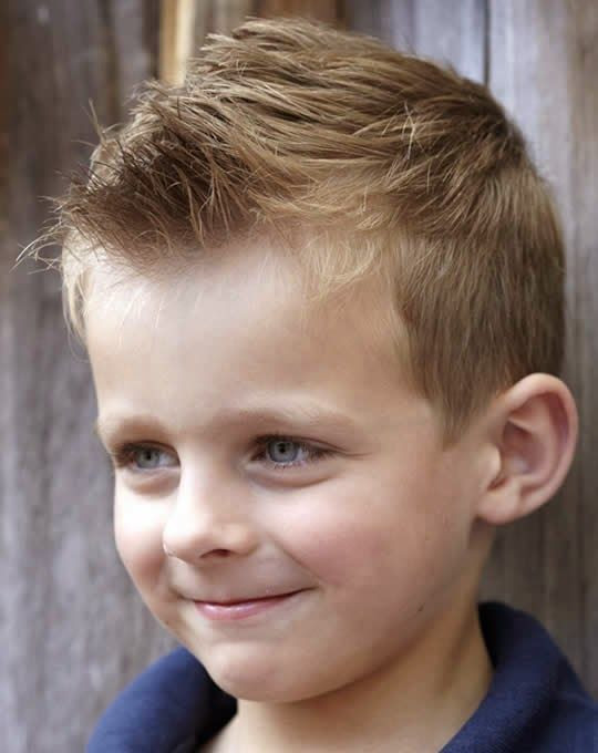 Hairstyle For Kids Boys
 Little Boy Haircuts 113 mybabydoo