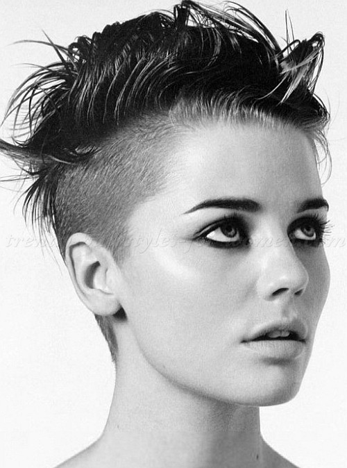 Hairstyles For Undercuts
 Undercut Hairstyle For Women s The Xerxes