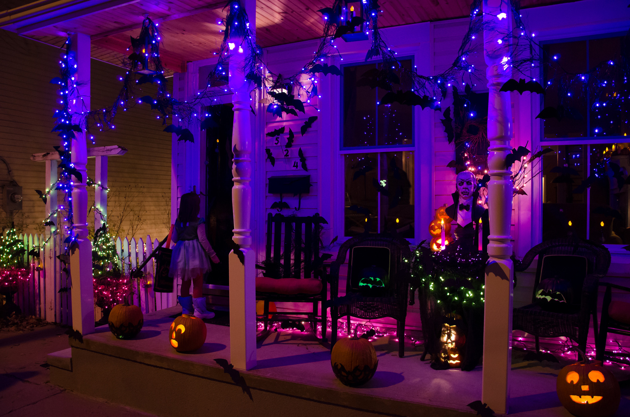 Halloween Outdoor Lights
 The "TRUTH" of a Blog