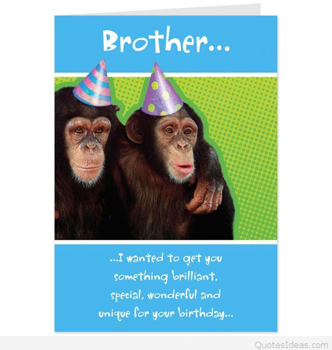 Happy Birthday Brother Funny Quote
 Top happy Birthday brothers in law quotes sayings & cards