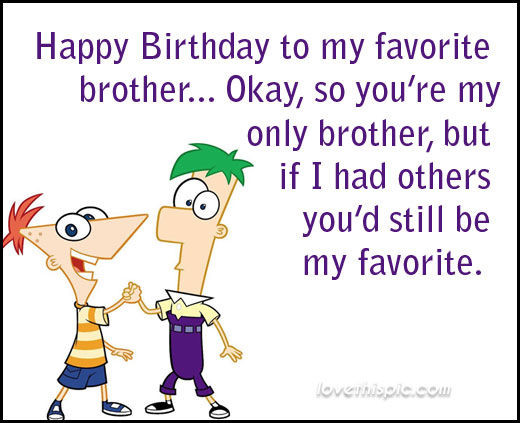 Happy Birthday Brother Funny Quote
 Happy Birthday To My Brother s and