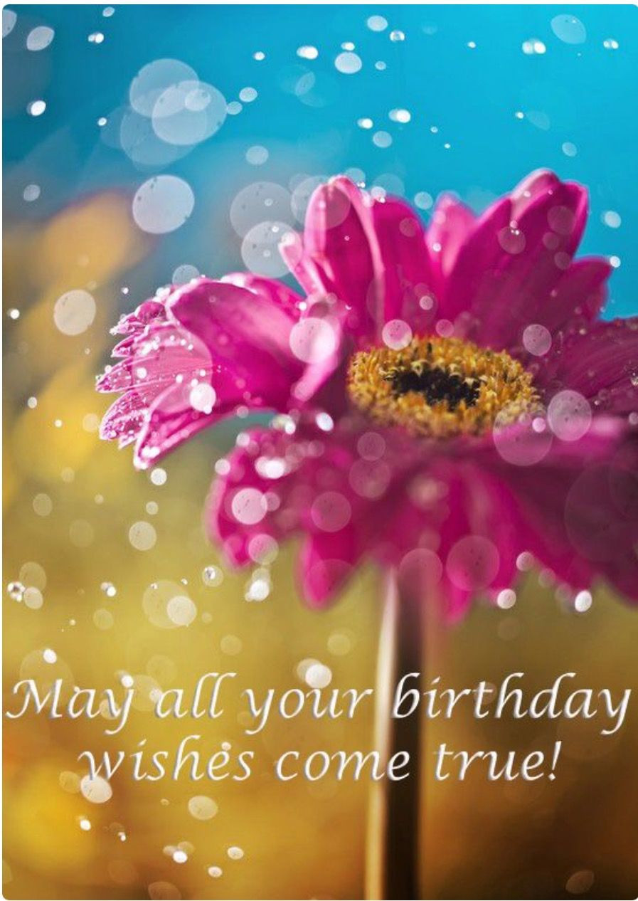 Happy Birthday May All Your Wishes Come True
 May all your birthday wishes e true