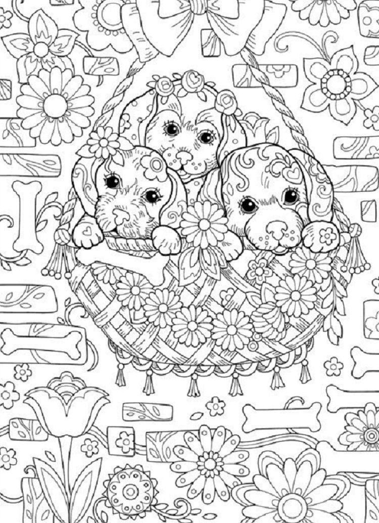 Hard Coloring Pages For Kids
 Puppy Coloring Pages Hard