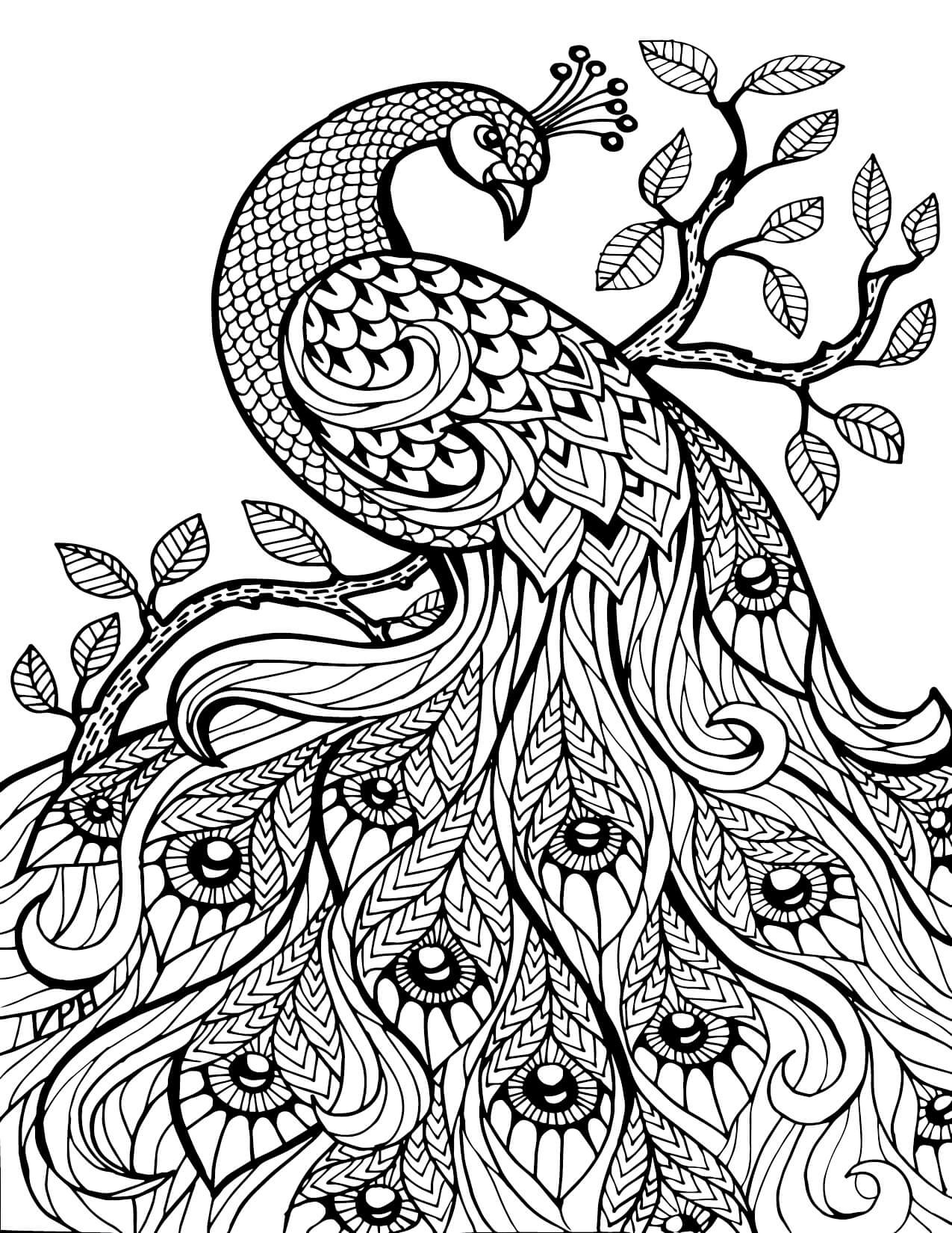 Hard Coloring Pages For Kids
 Coloring Pages For Adults Difficult Animals 57