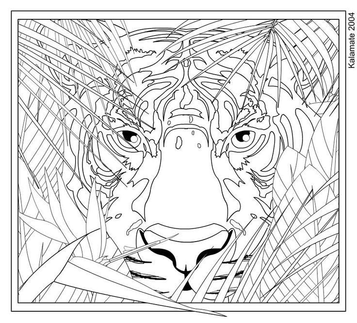 Hard Coloring Pages For Kids
 Hard Coloring Pages Animals To Print Coloring Home