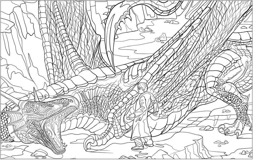 Harry Potter Coloring Pages For Adults
 Can t Wait For Fantastic Beasts There s A Harry Potter