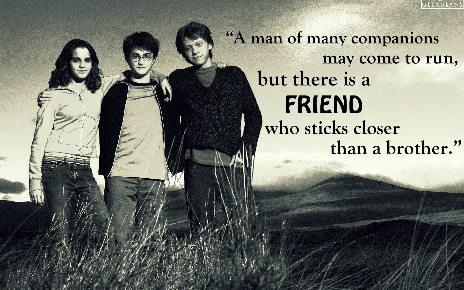 Harry Potter Quotes Friendship
 Harry Potter Quotes We Need Fun