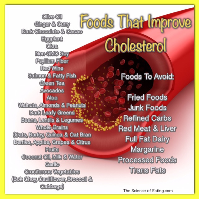 Healthy Low Cholesterol Recipes
 Foods To Help Health Issues – mavencio
