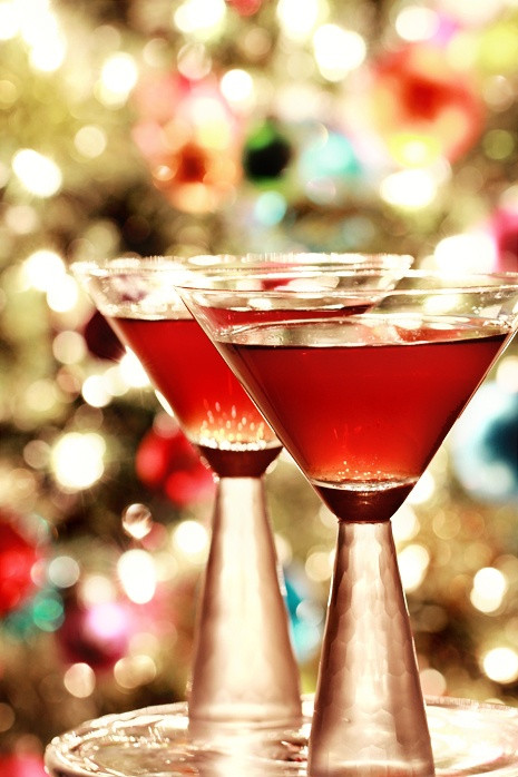 Holiday Cocktail Ideas Christmas Party
 Holiday Party Cocktail Ideas