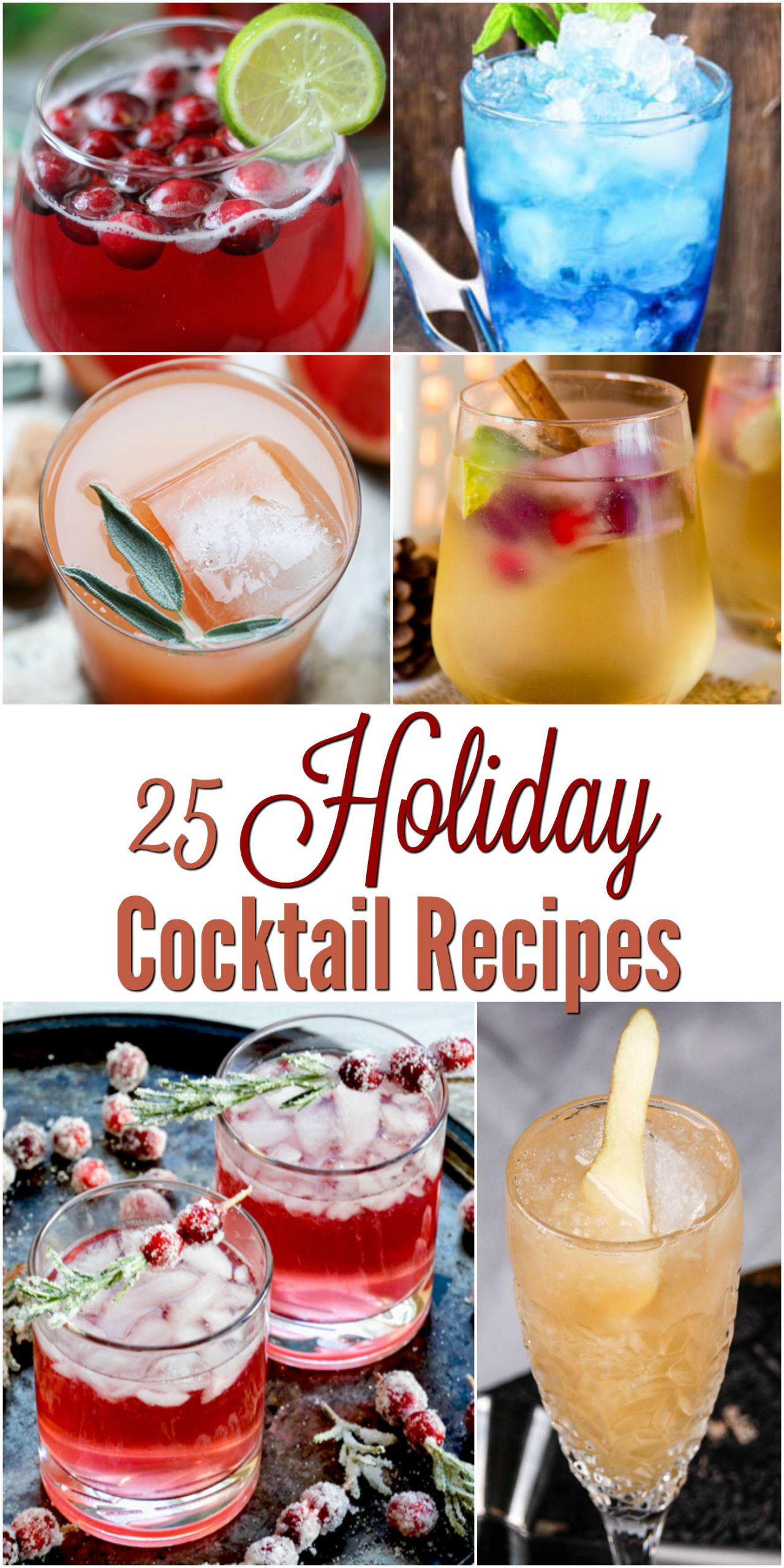 Holiday Cocktail Ideas Christmas Party
 25 Holiday Cocktail Recipes A Crafty Spoonful