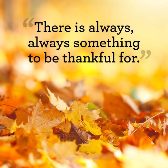 Holidays Thanksgiving Quotes
 15 Thanksgiving Quotes That Capture the True Meaning of