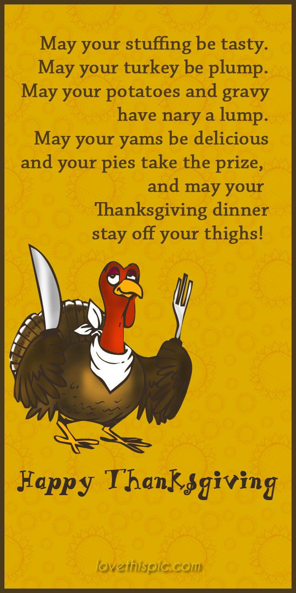Holidays Thanksgiving Quotes
 Thanksgiving funny holiday thanksgiving humor