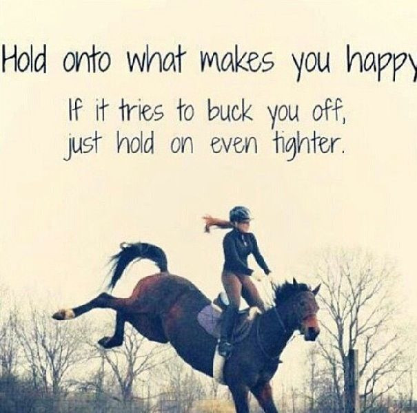 Horse Quotes About Life
 Famous Life Quotes About Horse QuotesGram