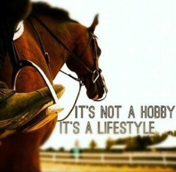 Horse Quotes About Life
 Quotes About Life And Horses QuotesGram