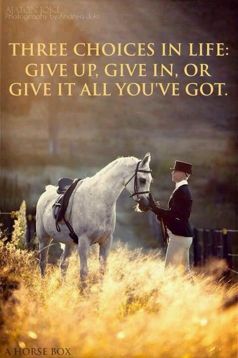Horse Quotes About Life
 Give it all you ve got Horses Pinterest