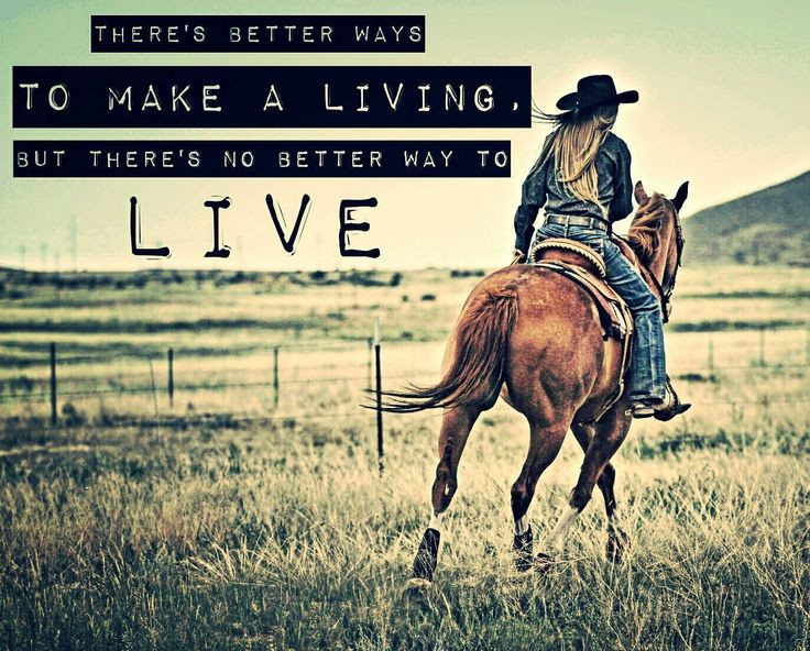 Horse Quotes About Life
 17 Best images about Horse & Rider Sayings on Pinterest