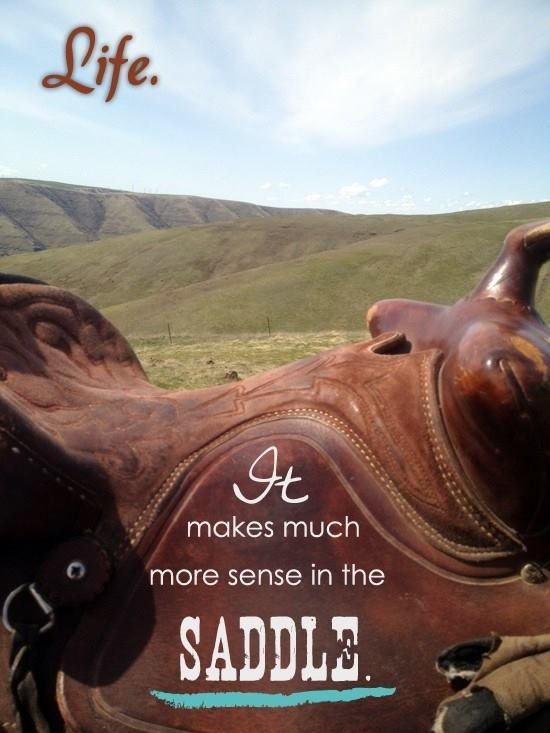 Horse Quotes About Life
 Horse Quotes Life QuotesGram