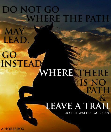 Horse Quotes About Life
 Quotes About Life And Horses QuotesGram