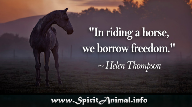 Horse Quotes About Life
 Horse Quotes