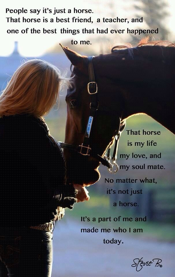 Horse Quotes About Life
 My Horses Are Life Quotes QuotesGram