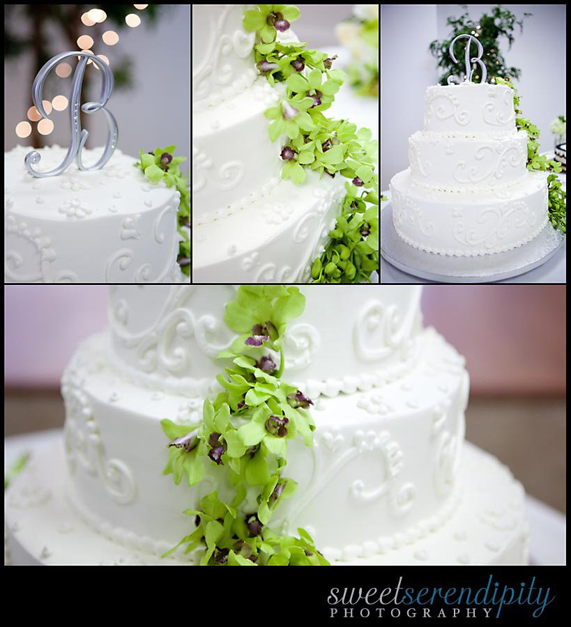 How Much Are Publix Wedding Cakes
 How Much Do Publix Wedding Cakes Cost Party XYZ