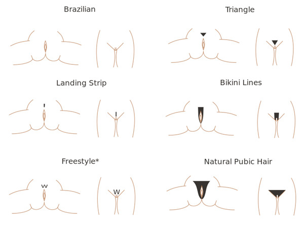 How To Cut Pubic Hair Male
 Different female pubic hair styles & looks The World of