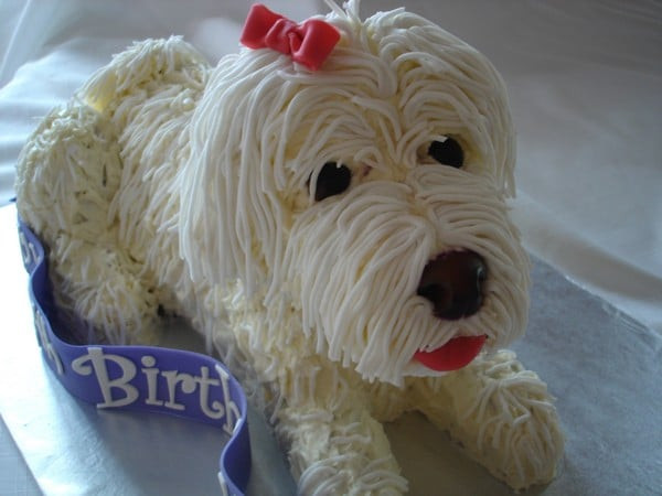 How To Make A Birthday Cake For A Dog
 Birthday Cake For Dogs 30 Easy Doggie Birthday Cake Ideas