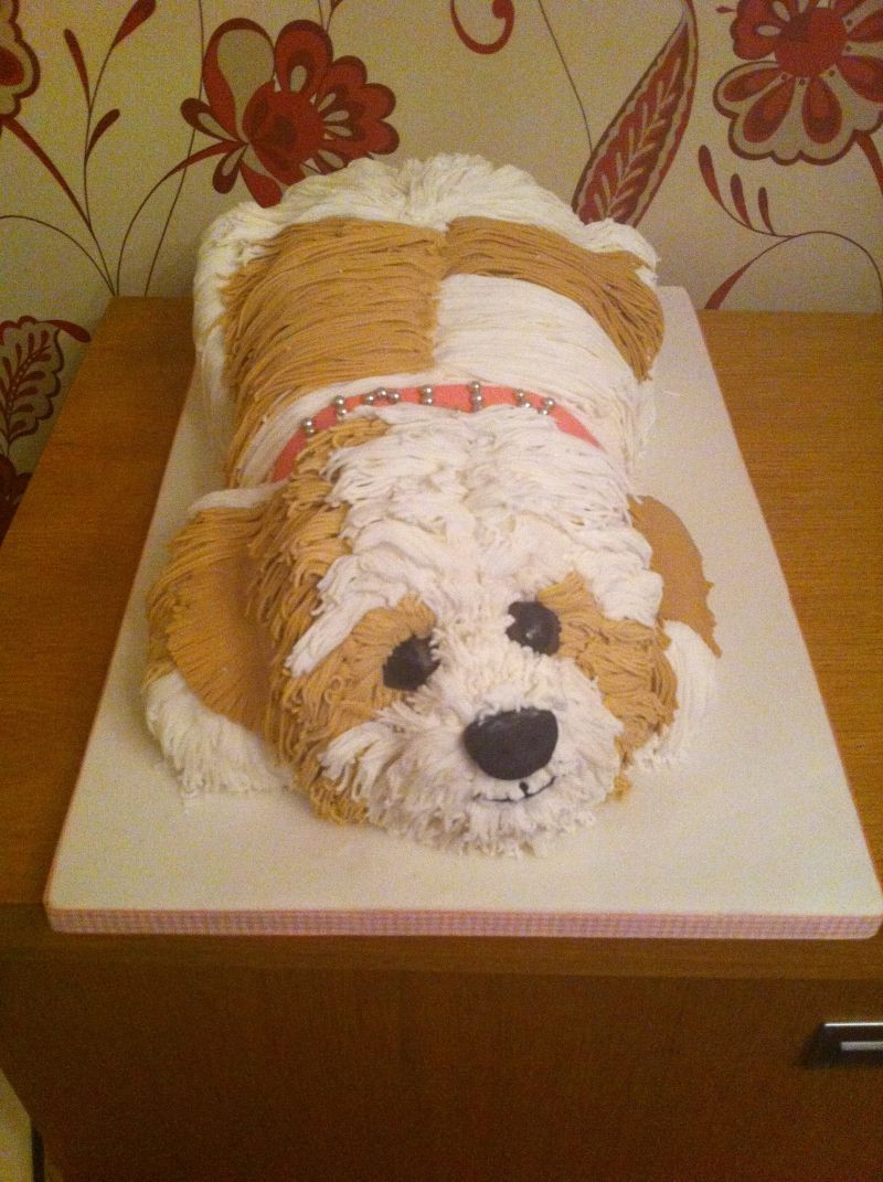 How To Make A Birthday Cake For A Dog
 dog cake i would not want to eat it i would feel like i