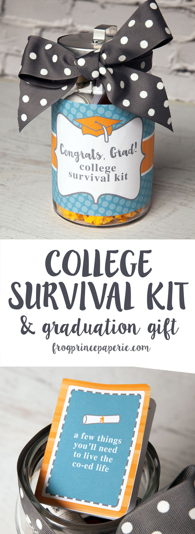 Hs Graduation Gift Ideas
 College Survival Kit DIY Graduation Gift Frog Prince Paperie